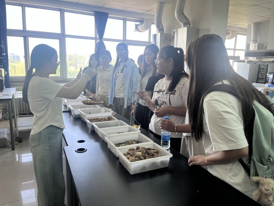 8521775b5d2e55353d1b9c52e26c146 8521775b5d2e55353d1b9c52e26c146