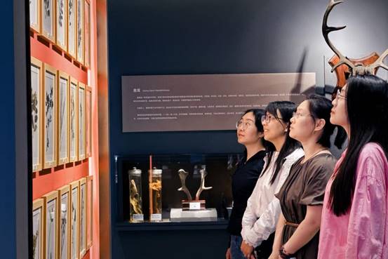 05703610f546136b255fe885e0f32bd