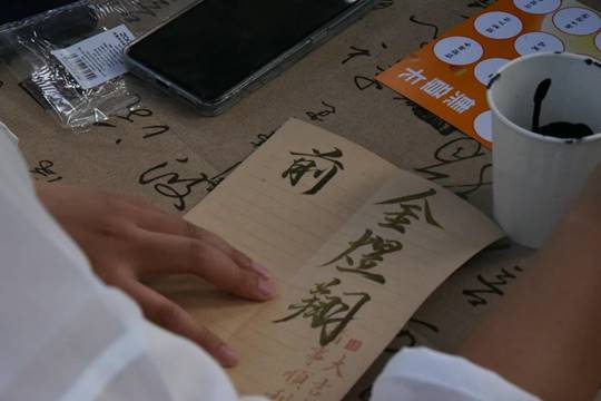 图示, 示意图&#10;&#10;中度可信度描述已自动生成:ver1